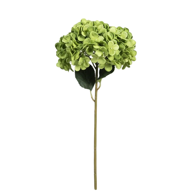 Hydrangea green 70cm