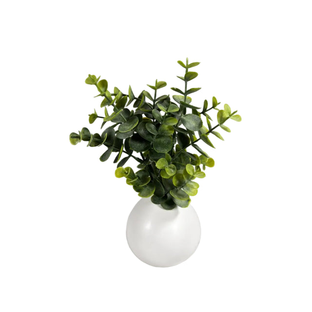 Greenery 26cm in ceramic pot 10x10cm - eucalyptus