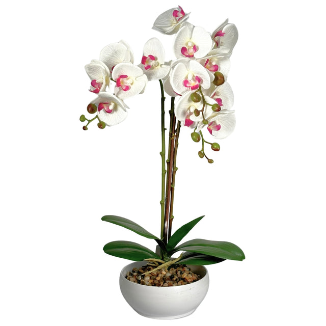 Artificial Phalaenopsis In Pot - White
