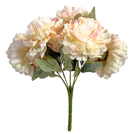 Peony Bunch 50cm - Cream