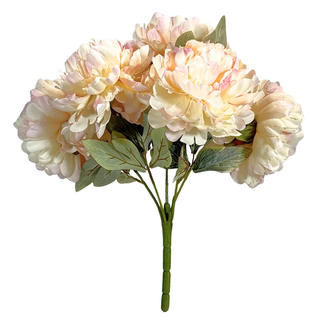 Peony Bunch 50cm - Cream