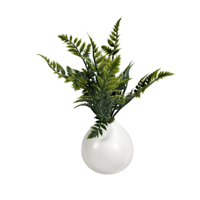 Greenery 26cm in ceramic pot 10x10cm - fern