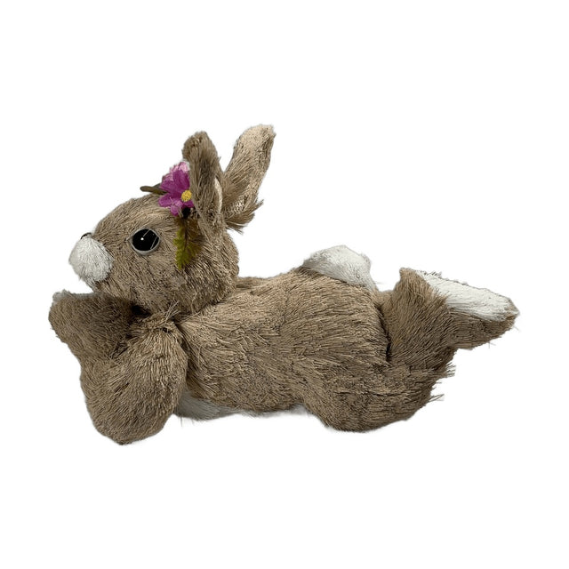Bunny Laying Down