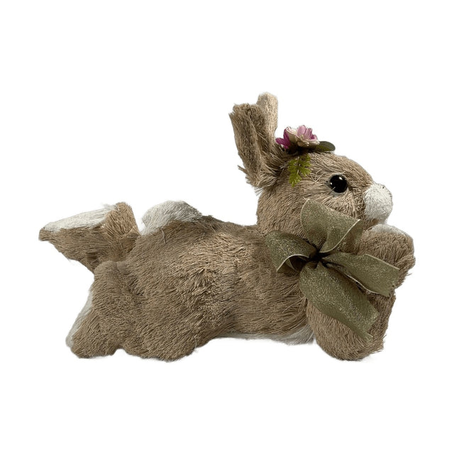 Bunny Laying Down
