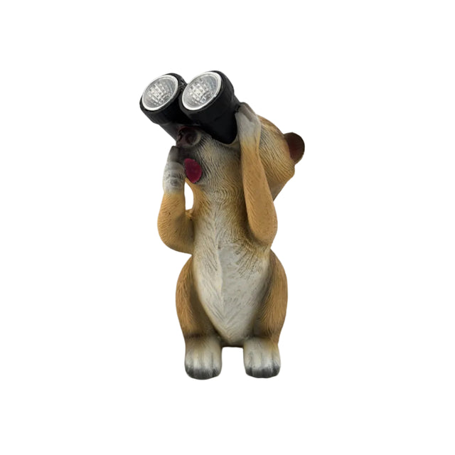 Solar Meerkat Pointing With Binoculars 22.5cm