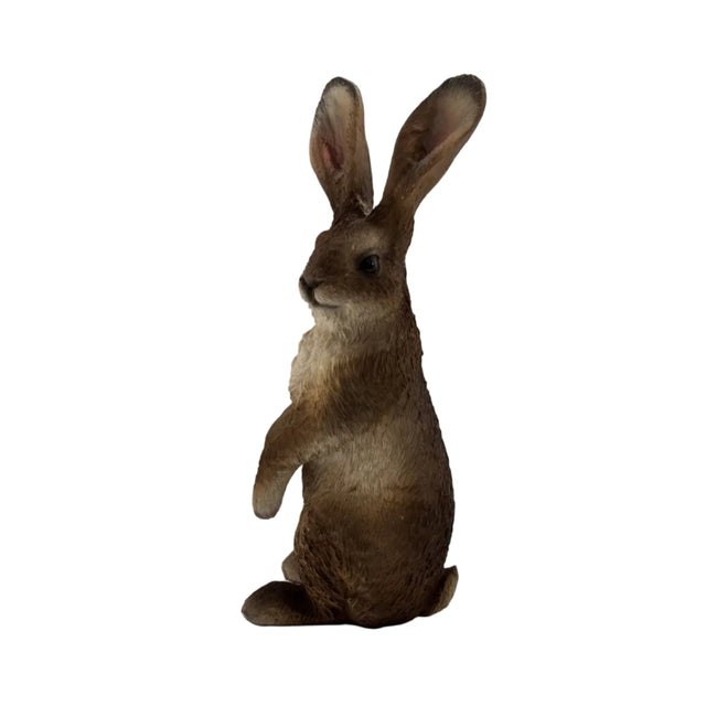 Rabbit Standing