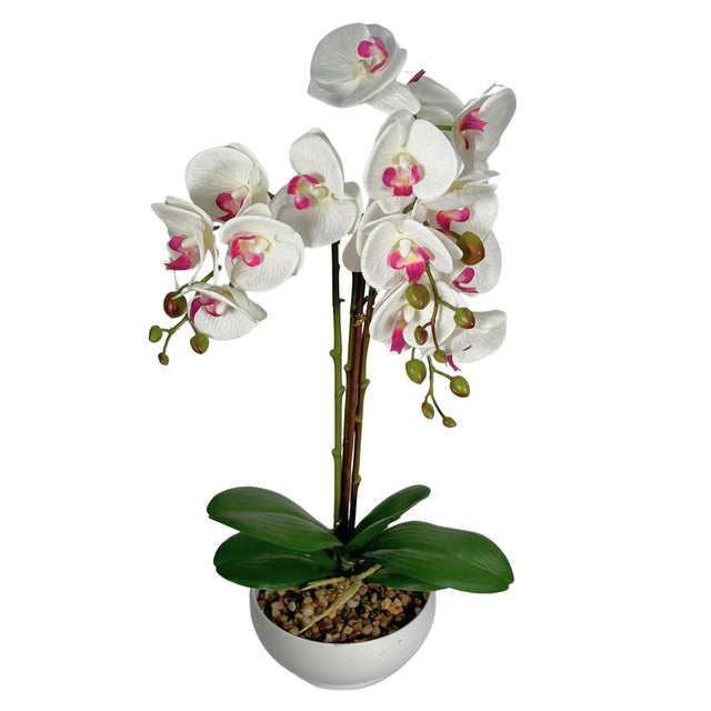 Artificial Phalaenopsis In Pot - White