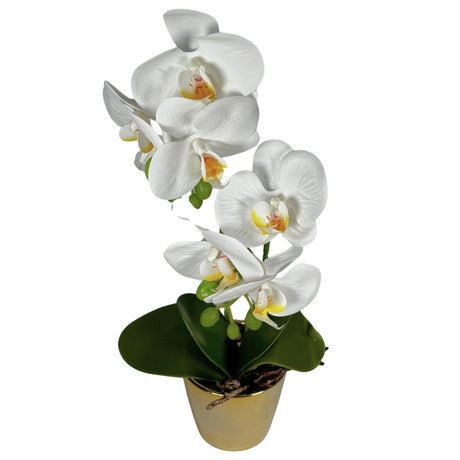 Orchid in Gold Pot 40cm White