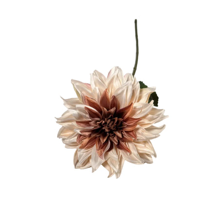 Dahlia Light Pink 16x73cm