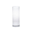 Glass Vase Long (Cylinder Shaped) (18x50cm)