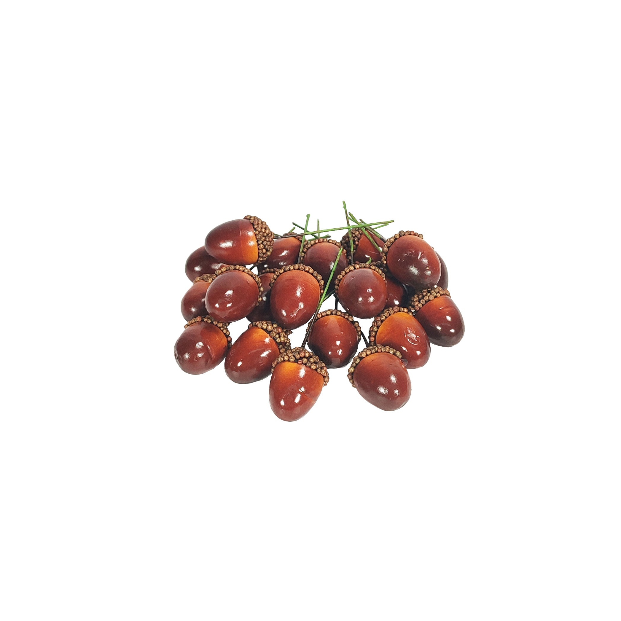 Artificial Acorns (Pack of 20) Autumn Décor – Grandiflora