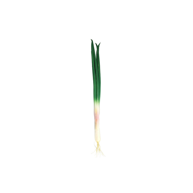 Artificial Spring Onion