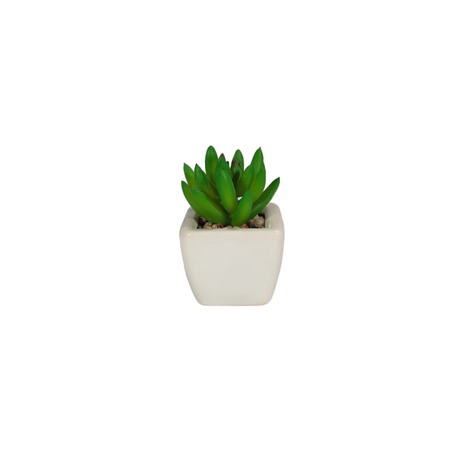 Artificial Succulent - Hyacinth In Pot