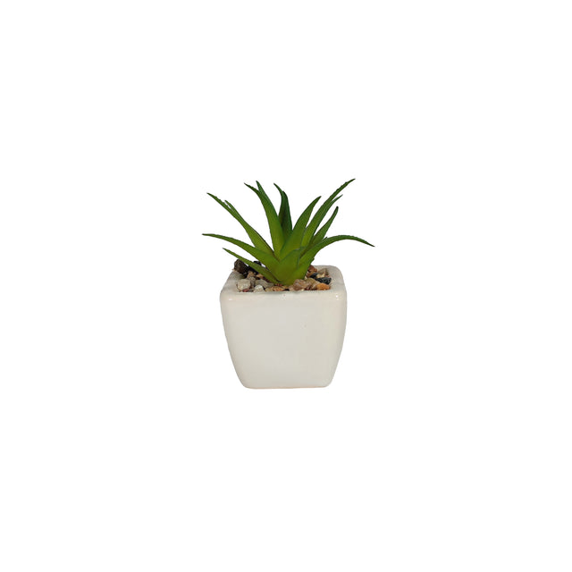 Artificial Succulent - Thorntop In Pot