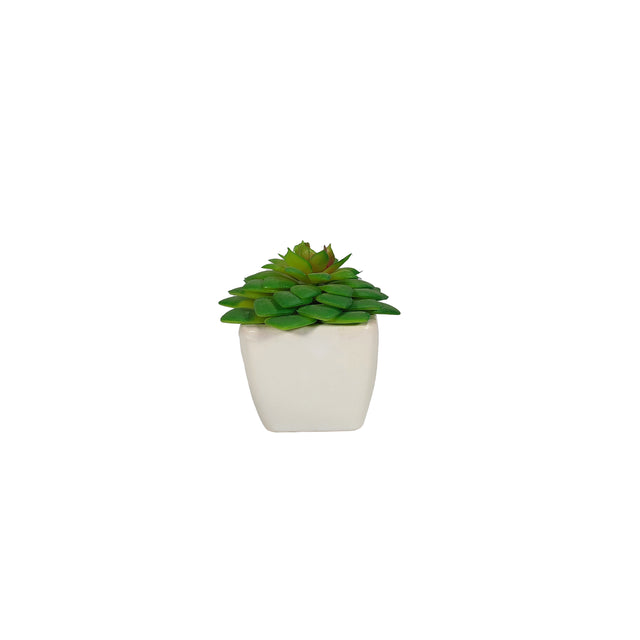 Artificial Succulent - Campfire Plant In Pot