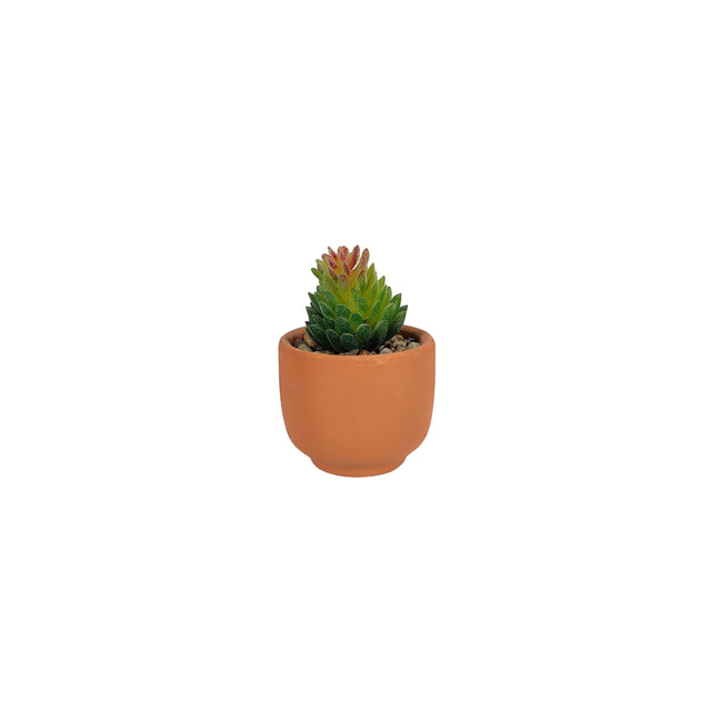 Artificial Succulent - Spikenard In ceramic Pot