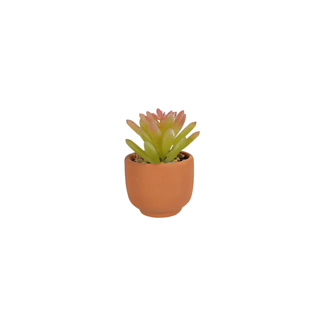 Artificial Succulent - Campfire Plant In ceramic Pot