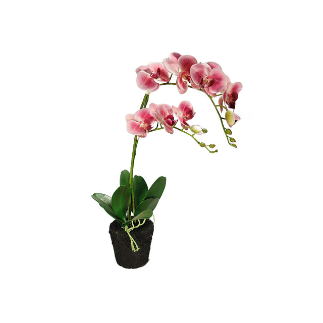 Artificial Orchid In Pot Pink