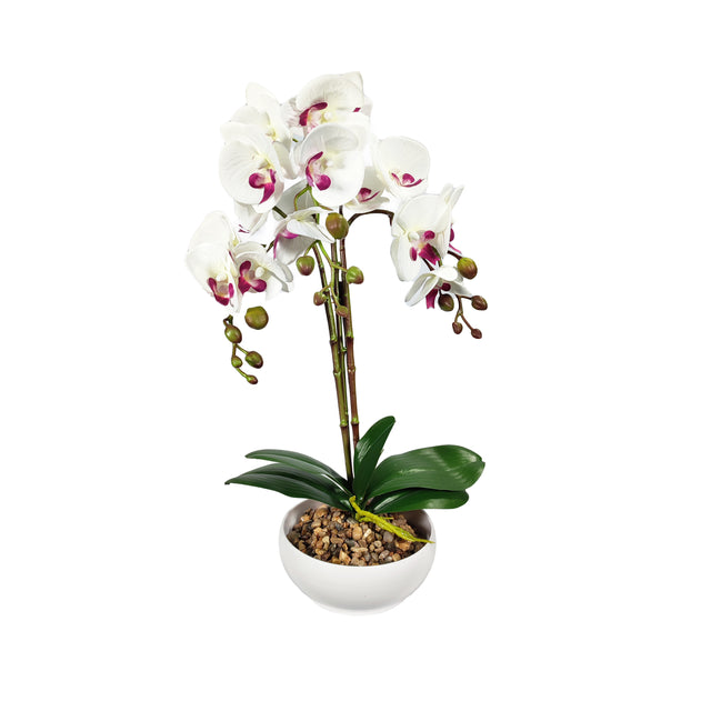 Artificial Phalaenopsis In Pot - White
