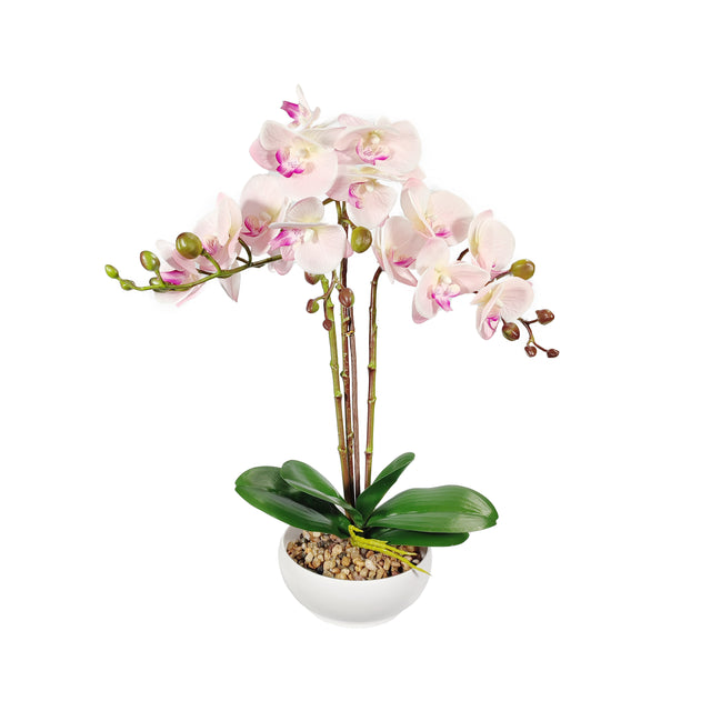 Artificial Phalaenopsis In Pot - Pink