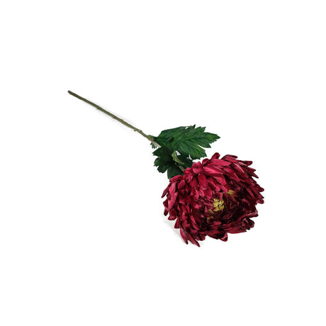 Dandelion (Artificial) - Burgundy (56cm)