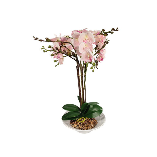 Artificial Phalaenopsis In White Pot - Pink
