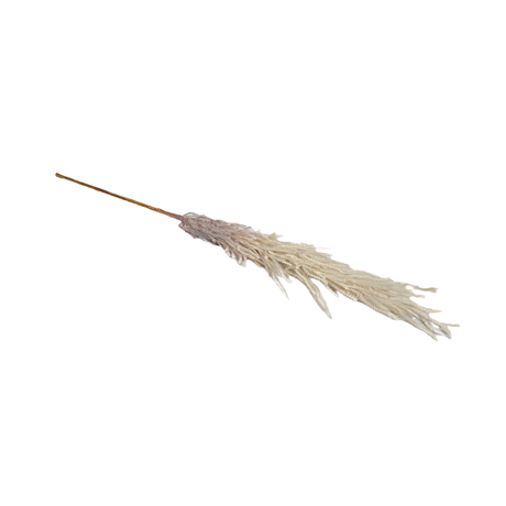 Cream Artificial Pampas On Stem 80cm