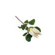 Protea Artificial Flowers  (Closed)  (White)