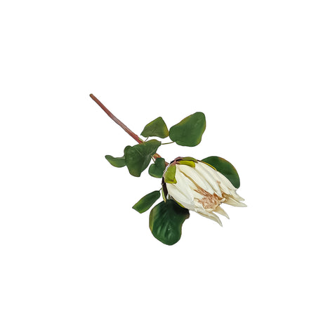 Protea Artificial Flowers  (Closed)  (White)
