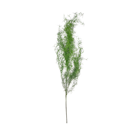 Fine Leaf Fern Stem (Artificial)