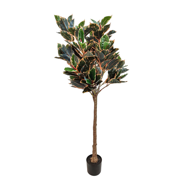 Artificial Rubber Tree In Pot 1.7M 10 Leaves