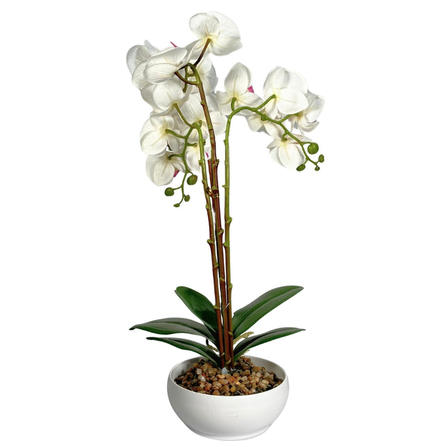 Artificial Phalaenopsis In Pot - White