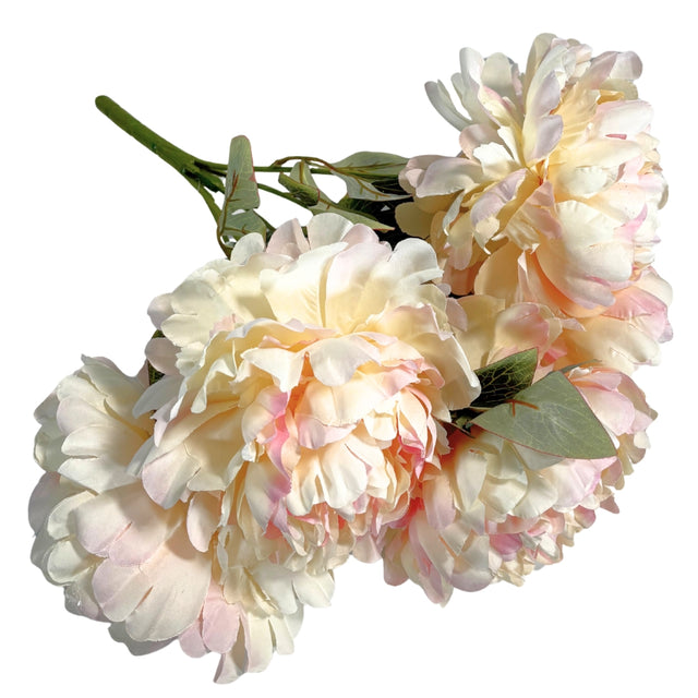 Peony Bunch 50cm - Cream