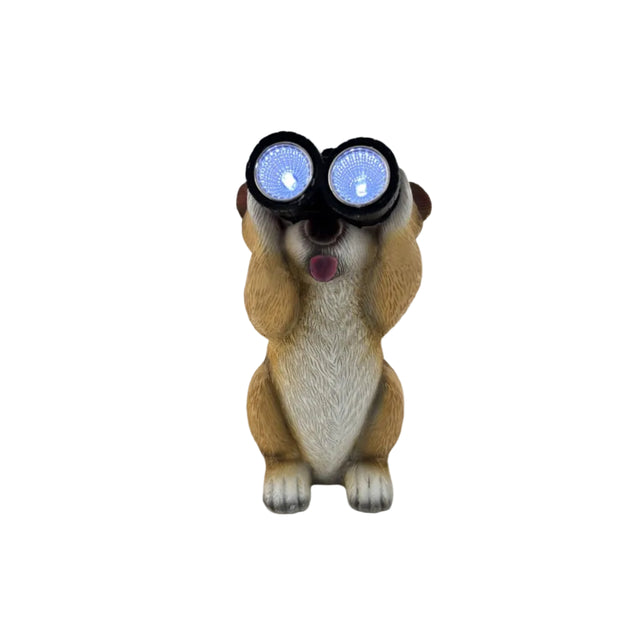 Solar Meerkat With Binoculars 22.5cm