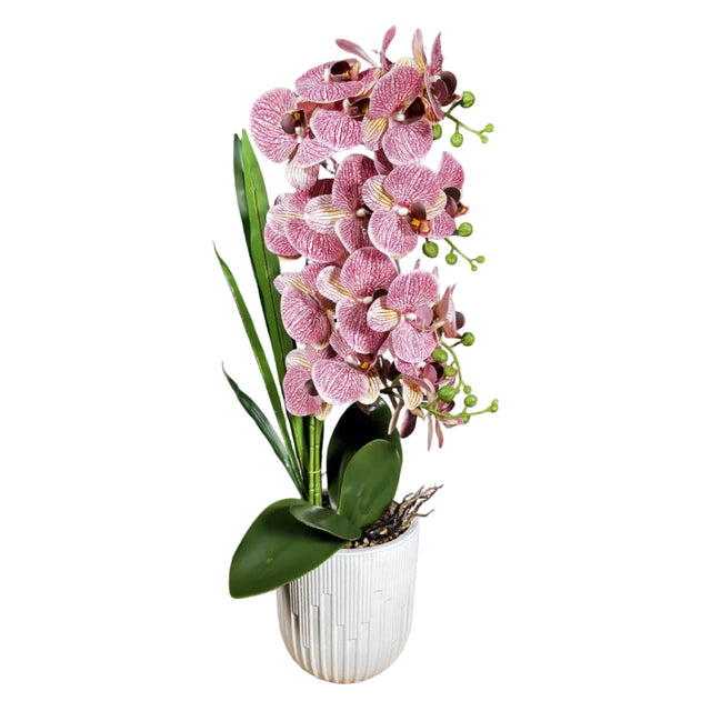 Purple orchid in white pot 72cm