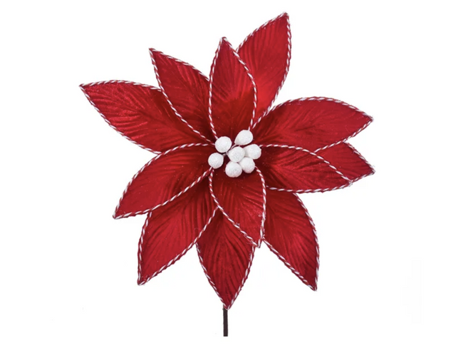 Red Poinsettia Red & White Trim