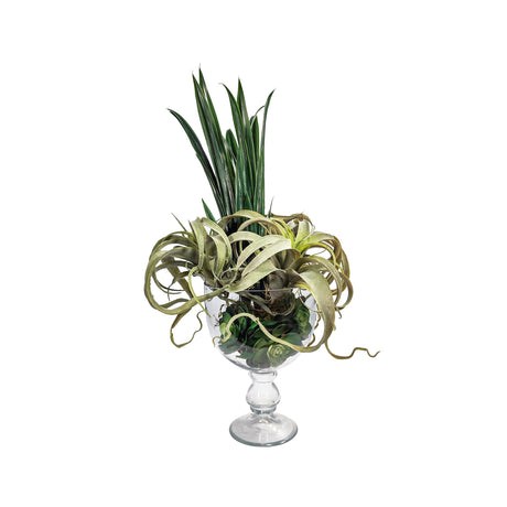 Air Plant With Rock Roses & Green Stems (Artificial)