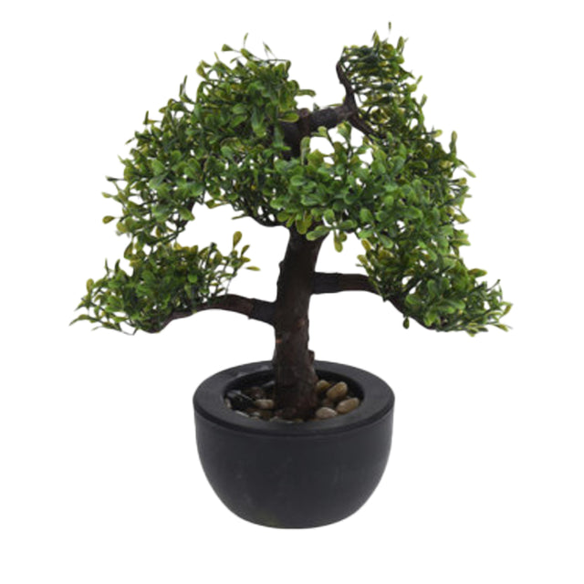 Bonzai Tree In Pot, 32x32x50cm - Tear Drop Leaves