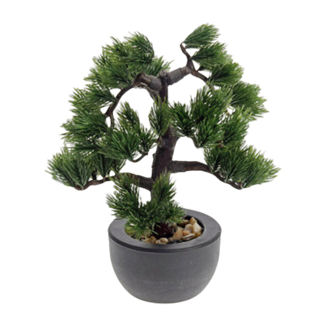 Bonzai Tree In Pot, 32x32x50cm - Spikey Leaves