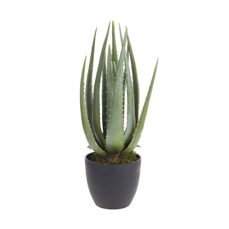 Artificial Aloe Vera with 16 leaves in a pot.