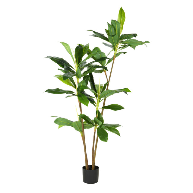 Artificial Plant  Dracaene In Pot 175Cm.