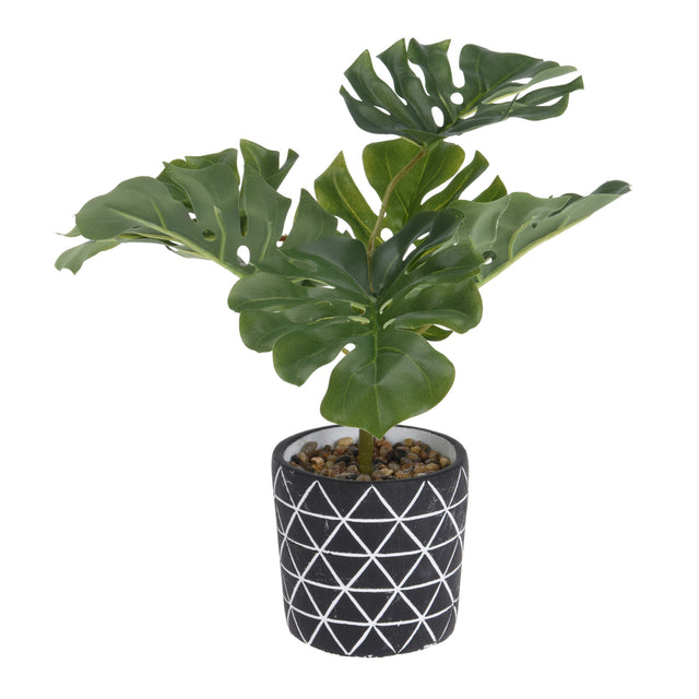 Artificial Monstera Plant In Cement Pot