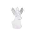 Angel With Banjo and Silver Wings