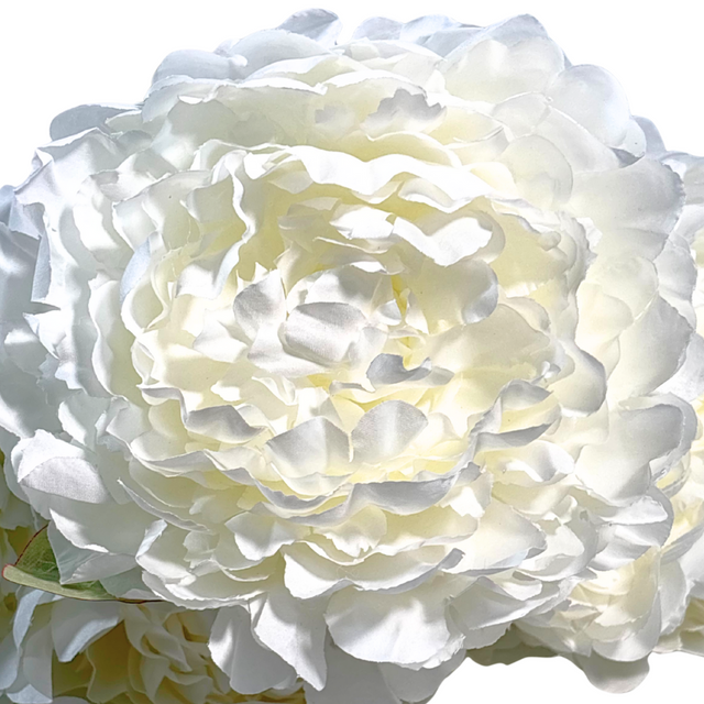 Peony Bunch 50cm - White