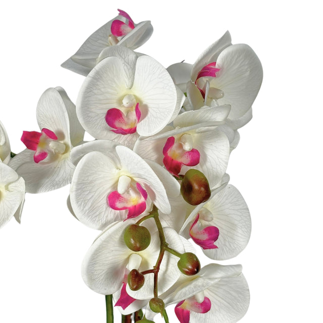 Artificial Phalaenopsis In Pot - White