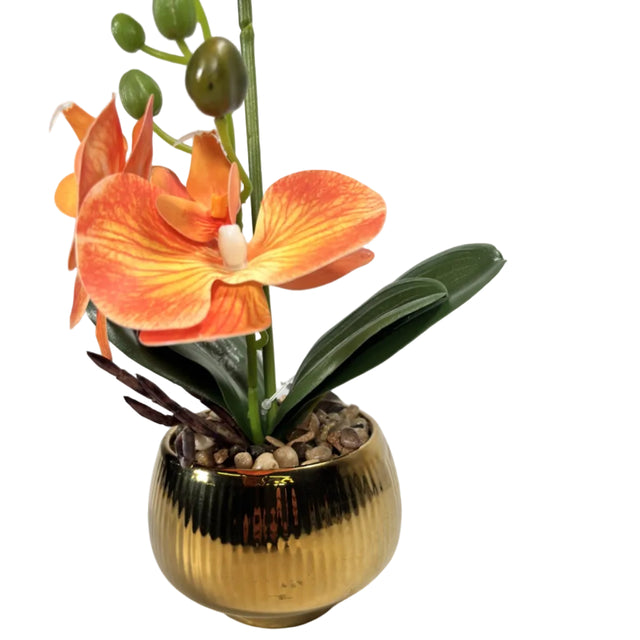 Orange orchid in gold pot 43cm
