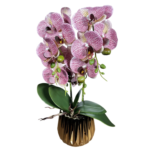Purple orchid in gold pot 54cm