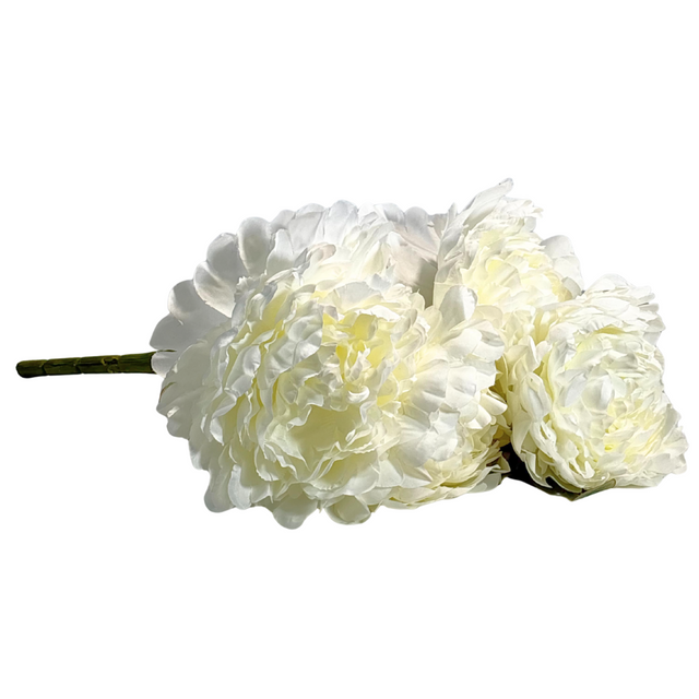 Peony Bunch 50cm - White