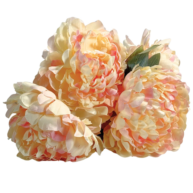 Peony Bunch 50cm - Cream