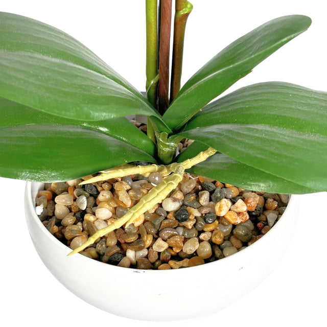Artificial Phalaenopsis In Pot - White